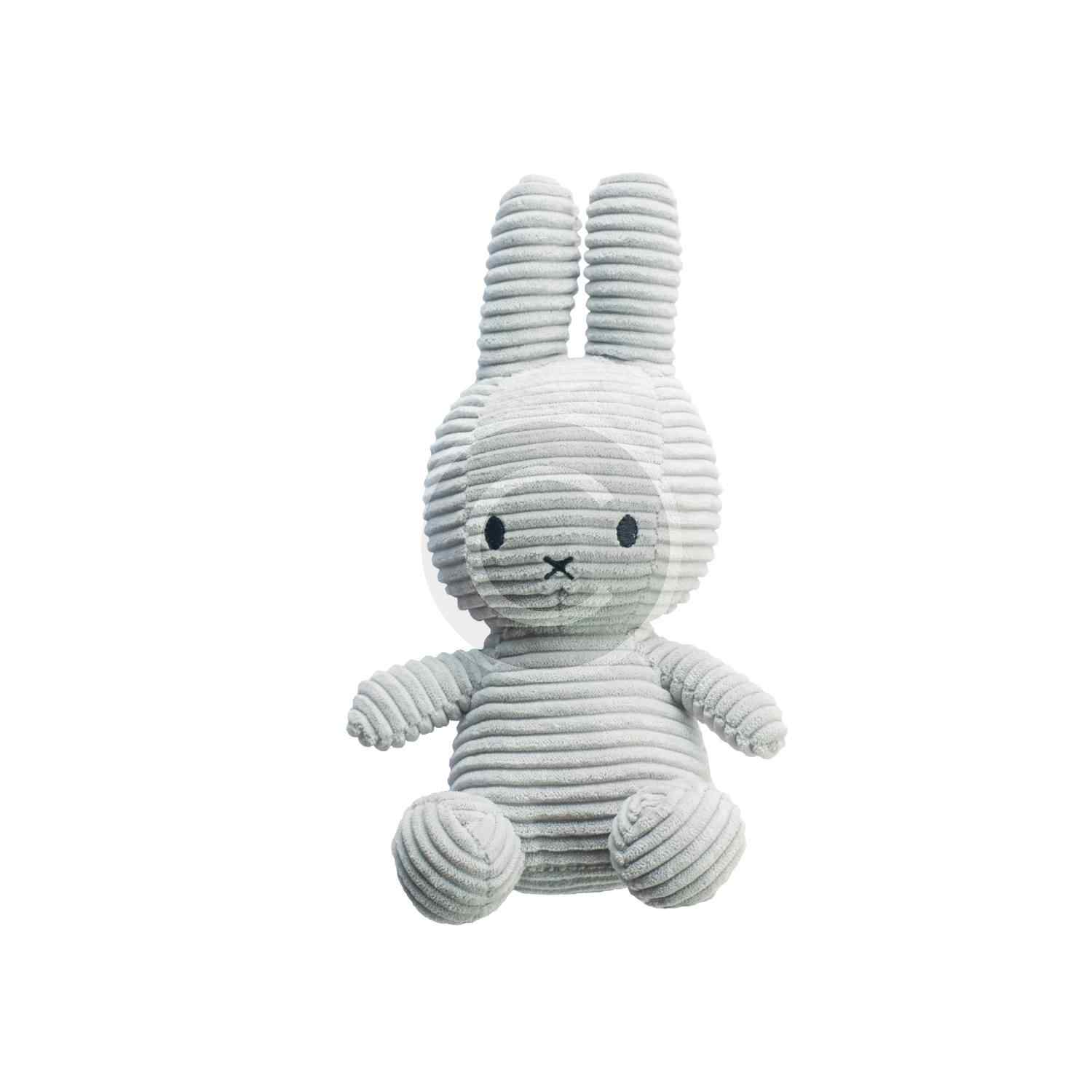 Plush Toy for Dog